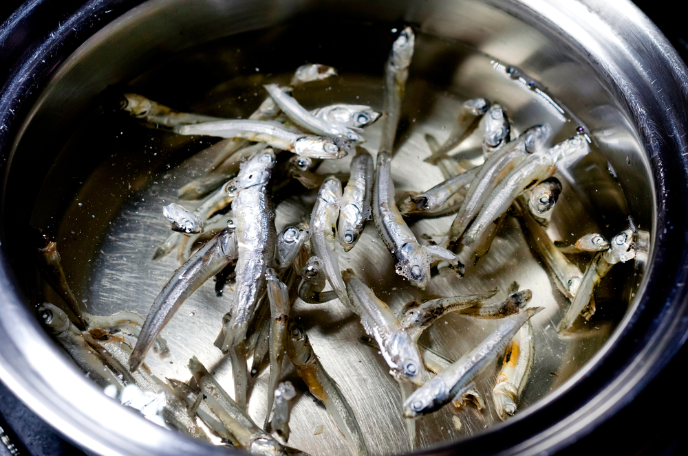 煮干し出汁の栄養成分と健康への働き