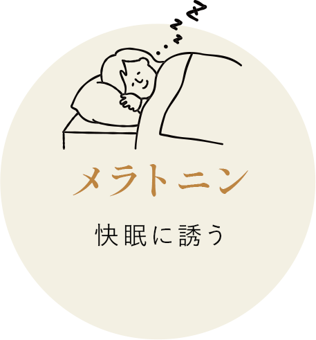 メラトニン