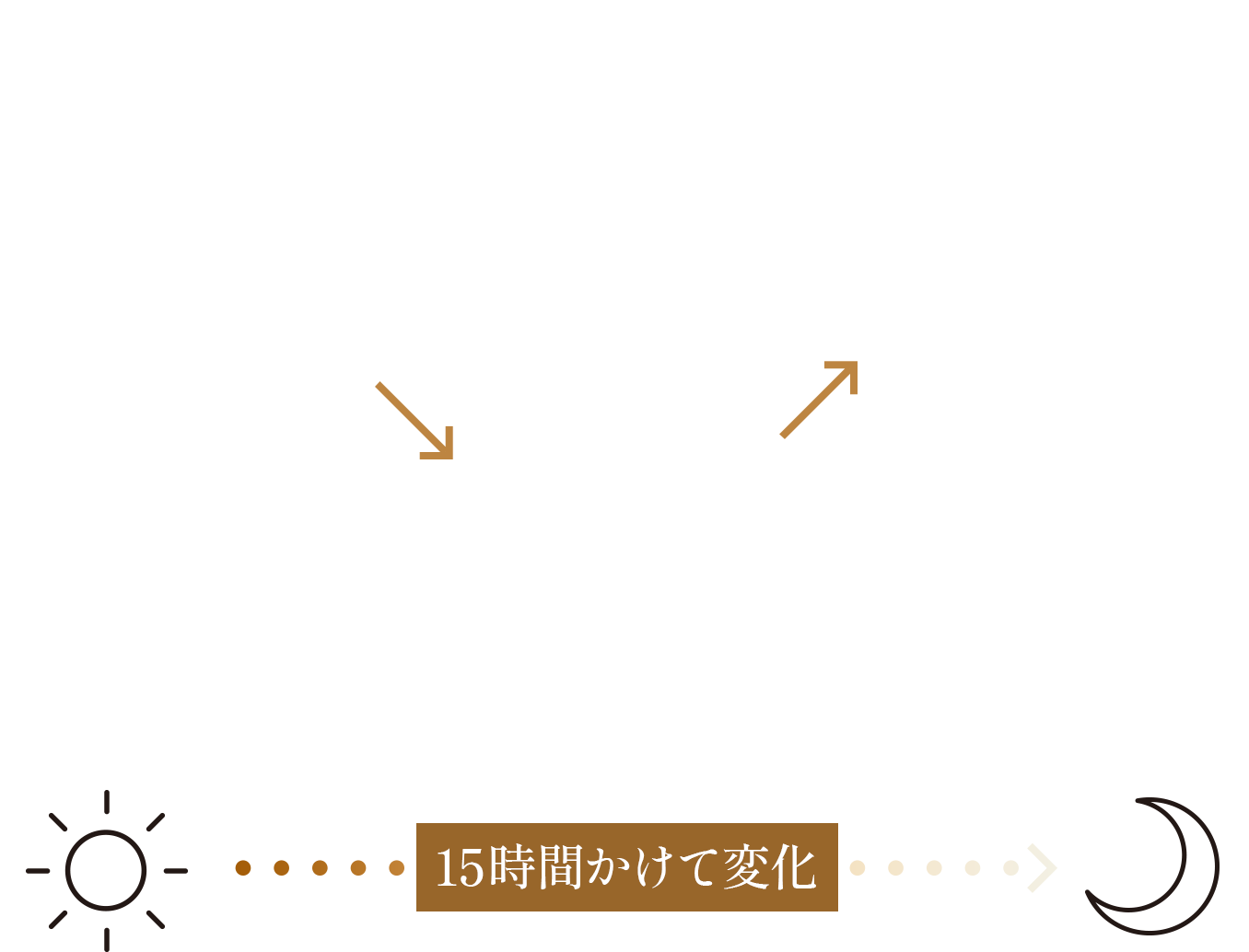 トリプトファン